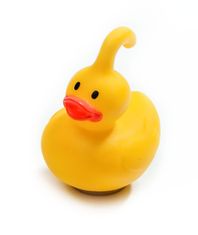 Alltoys Igra lovljenja račk z 2 ribiškima palicama in 6 račkami