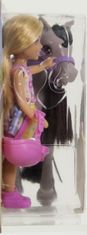 Mattel Barbie Chelsea lutka s ponijem in dodatki