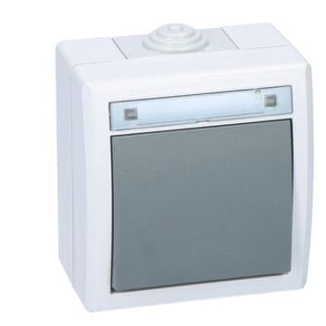 1-polno stikalo, dvosmerno, nadometno, IP55, sivo, AQUANT