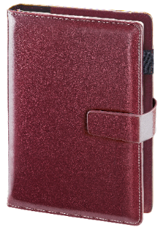 Prevleka za organizator Cambridge 08 17,5 x 23,5 cm temno rjava RP-08-CBZ/BRC/P