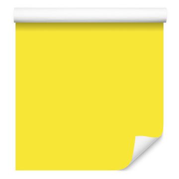 Tapeta Enobarvno rumeno ozadje, rumeno ozadje za dnevno sobo in spalnico 50x1000 cm