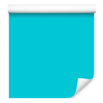 Tapeta Enobarvna celadon ozadja, celadon ozadje za dnevno sobo in spalnico 50x1000 cm
