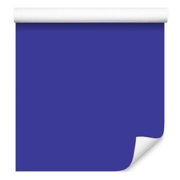 Tapeta Enobarvno modro ozadje, prozorni detajli 50x1000 cm
