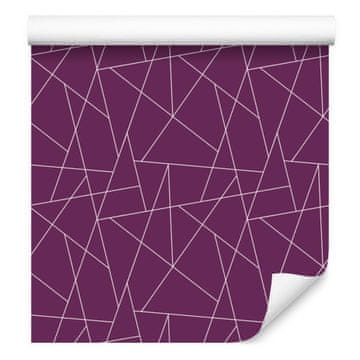 Geometrična tapeta v barvi slive in vijolične barve za dnevno sobo in spalnico 50x1000 cm