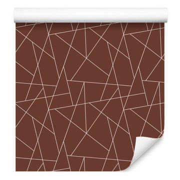 Tapeta z geometrijskim vzorcem, rjasto in oranžna, za dnevno sobo in spalnico 50x1000 cm