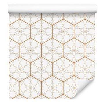 Geometrijska in šesterokotna tapeta za dnevno sobo in spalnico 50x1000 cm