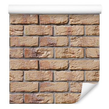 Barvita tapeta z opeko za dnevno sobo in spalnico 50x1000 cm