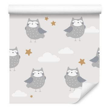 Tapeta Owls in the Clouds za dnevno sobo in spalnico 50x1000 cm