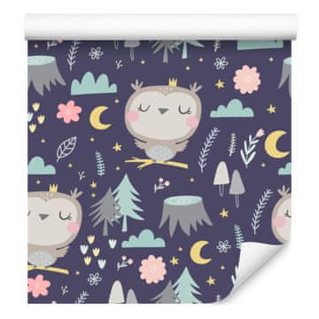 Tapeta Owls Clouds Moons za dnevno sobo in spalnico 50x1000 cm