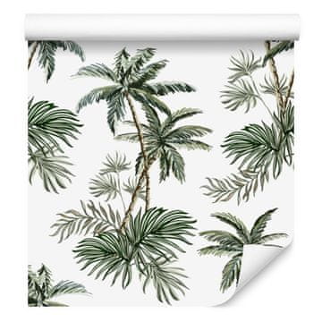 Fototapeta Palme rastline mladost za dnevno sobo in spalnico 50x1000 cm