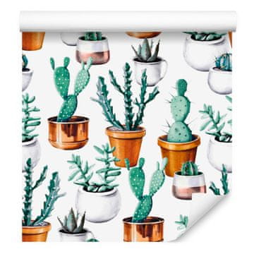 Tapeta s poslikanimi kaktusi v lončkih za dnevno sobo in spalnico 50x1000 cm
