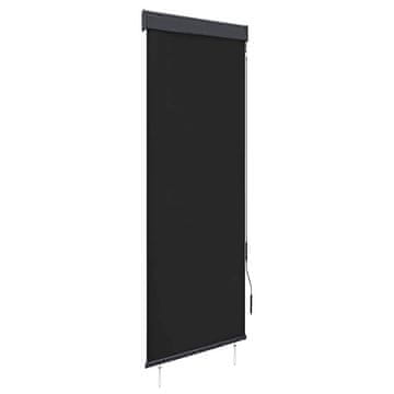 Vidaxl Zunanje rolo senčilo 60x250 cm antracitno
