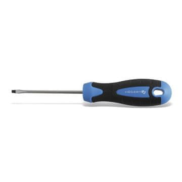 Ert Ploščati izvijač 4x100 mm HT1S004