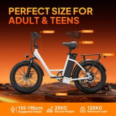 UNBRANDED URLIFE E20 belo mestno električno kolo 20 × 3", 250 W, baterija 48 V 13 Ah, do 25 km/h in do 65 km dosega