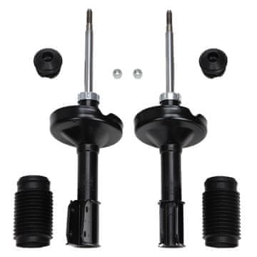 AMORTIZERJI spredaj RENAULT CLIO II (BB_, CB_), THALIA I (LB_)