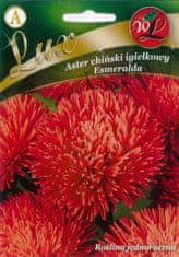 Legutko Kitajska astra Esmeralda igličasto rdeča 0,50 g semena