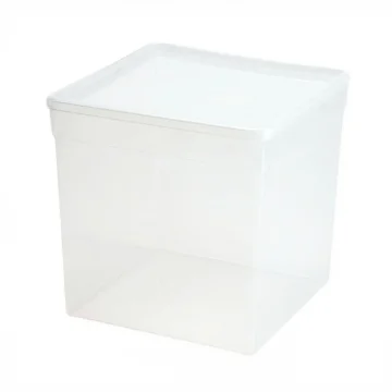 BraPlast posoda za vzrejo 5,8 L 19x19x19 cm - škatla za pajke, izopode in majhne plazilce