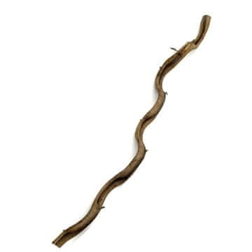 BIO BioThai Liana 2-4 cm / 100 cm