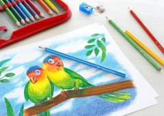 Faber-Castell Barvice trirobe 12/1