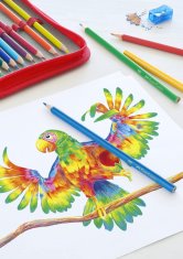 Faber-Castell Barvice trirobe 24/1