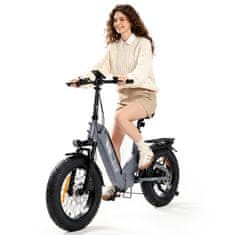 ISCOOTER iScooter EB8 zložljivo električno kolo 20", fat tire 4.0, 48 V 15 Ah, 250 W, do 145 km, hidravlične zavore