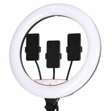 Northio RGB LED obročasta luč za selfije in videoposnetke s stojalom, 45 cm