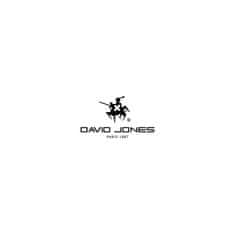 David Jones David Jones Mestni nahrbtnik za prenosnik, poslovni, univerzalni, POTNI 40x30x10 cm