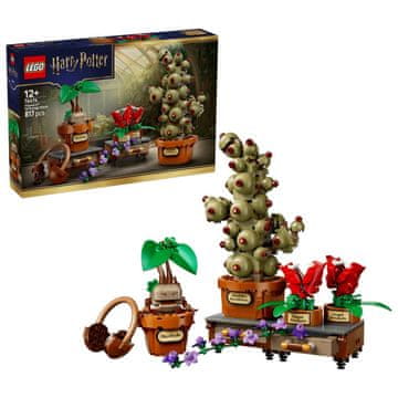 LEGO Harry Potter 76474 - Bradavičarka in zeliščarstvo