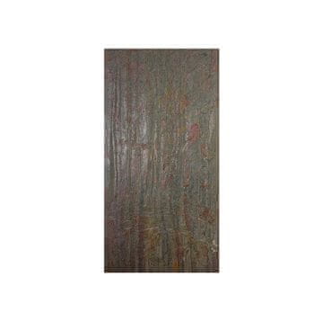 ALFISTYLE Velkoformátová kamenná dýha, Burning Forest, 244x122 cm, EDL002, kus