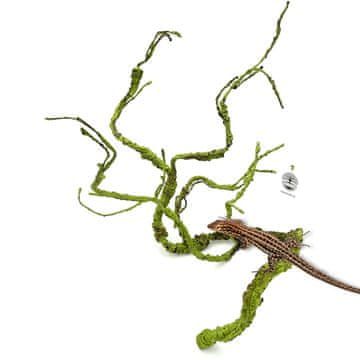 BIO BioBranch Green Liana M za terarij velikosti 115 cm