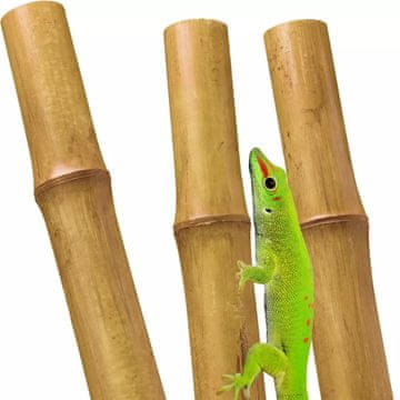 BIO BioBamboo Stick bambusova palica 60 cm 22-30 mm bambus