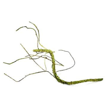 BIO BioBranch Green Liana S za terarij 25-45 cm