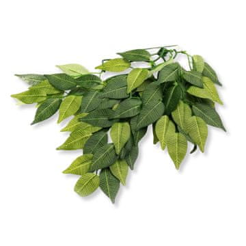 PTI Viseča rastlina Fig 40 cm