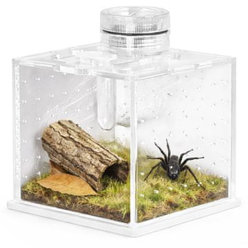 Terrario TERRARIJ SPIDERNOK M MINI AKRILNI TERARIJEV Z OSVETLITVIJO ZA RASTLINE 20 CM