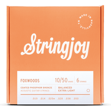 IN FW1050 strune za akustično kitaro FOXWOODS fosforni bron 10-50