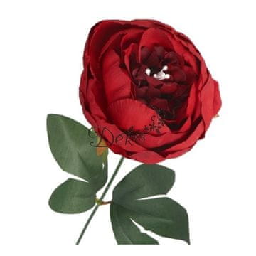 TOP GIFT POTONIKA, POSAMEZNA VELIKA VEJA POTONIKE, KOT REALNA