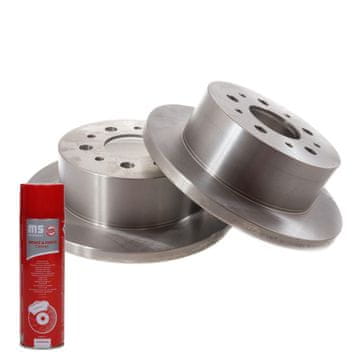 ZAVORNI DISKI zadnji 24011601241-PCS-MS | 2 kosa