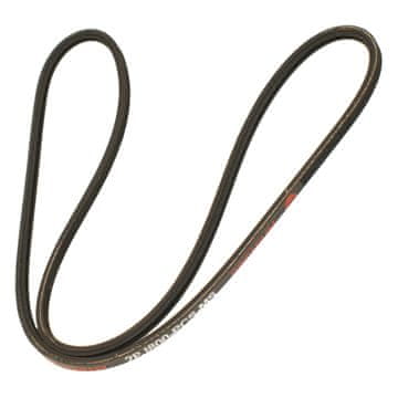 PK 2PJ800 Rebrasti jermen