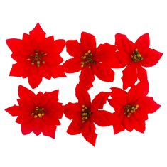 33 Božična zvezda, veliki cvetovi božične zvezde CV28918, 6 kosov