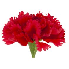 33 Umetna glavica nageljnovega cveta rdeča za dekoracijo CV31484-6 10 cm
