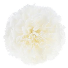 33 Umetna glavica nageljnovega cveta za dekoracijo, bela, 10 cm CV31484-1