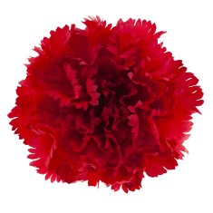 33 Umetna glavica nageljnovega cveta rdeča za dekoracijo CV31484-6 10 cm