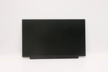 Lenovo SD10S72068 AUO 13.3, 02HL701