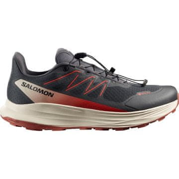 Salomon Čevlji Salomon Alpharide 2 GTX L49181600000
