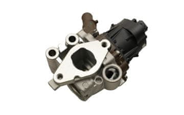 FAST FT60248 HITR EGR VENTIL