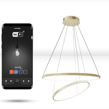 WiFi Tuya okrogla svetilka 60cm + 40cm LED zlati viseči obroč krog notranji