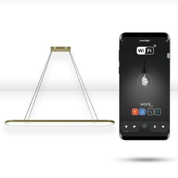 Okrogla WiFi svetilka Tuya 90x20cm LED zlata viseča elipsa