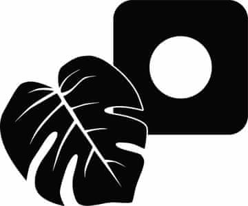 Zaščitna nalepka za stikalo - Leaf