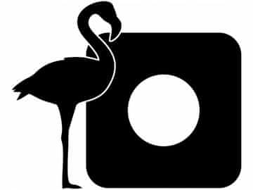 Zaščitna nalepka za stikalo - Flamingo