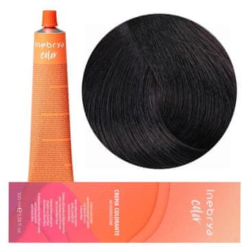 Inebrya Barvilo Color 1 100 ml